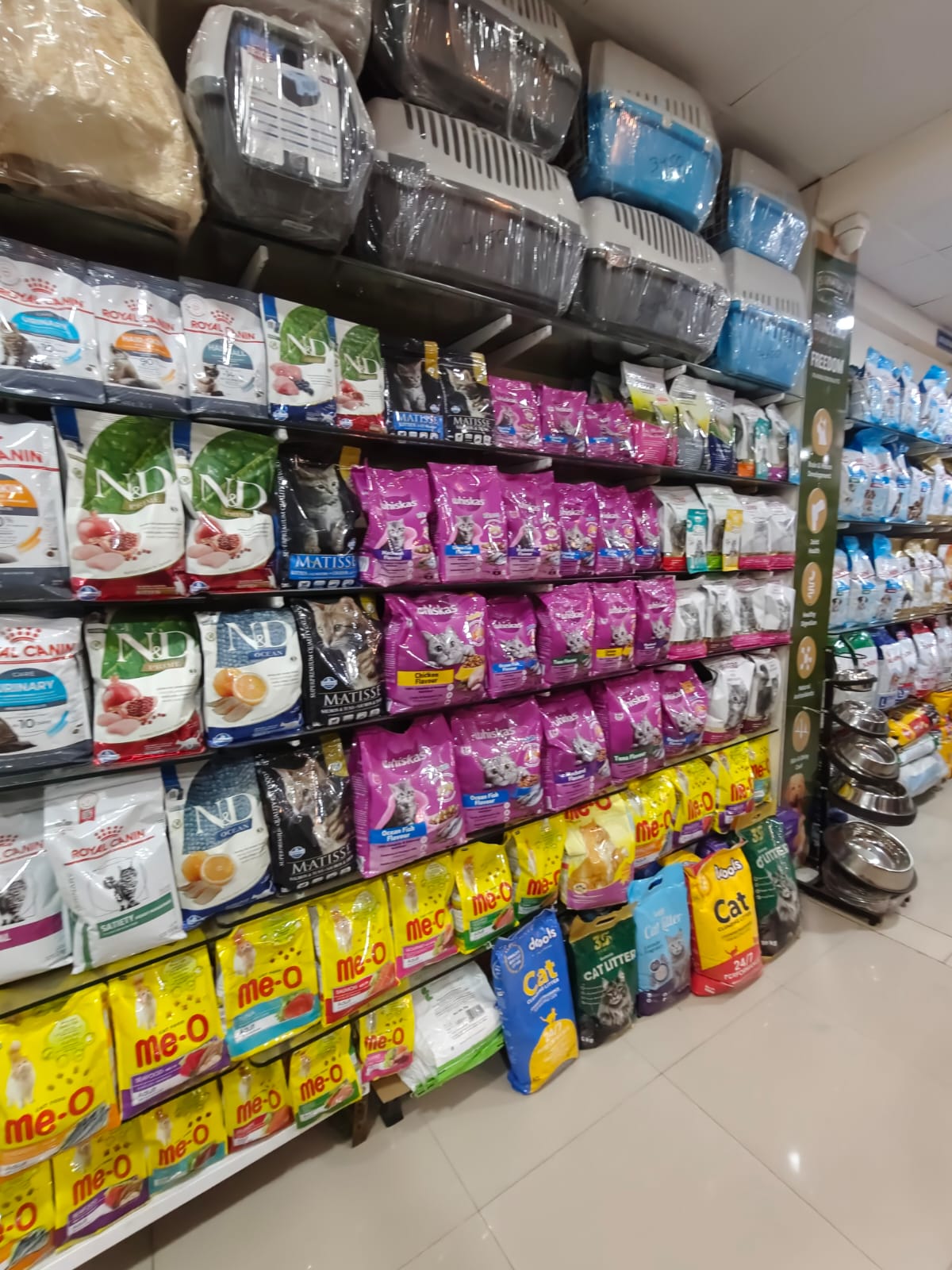 Sarvadnya Pet Care Unit veterinary clinic, Pune